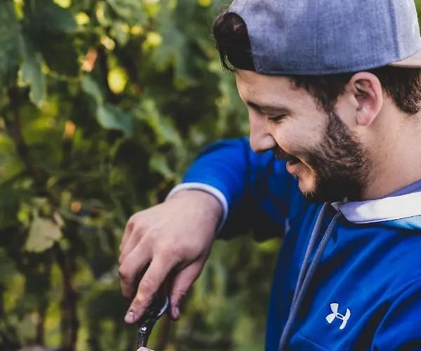 Weingut Peter Grill 3* ليوتسشاخ