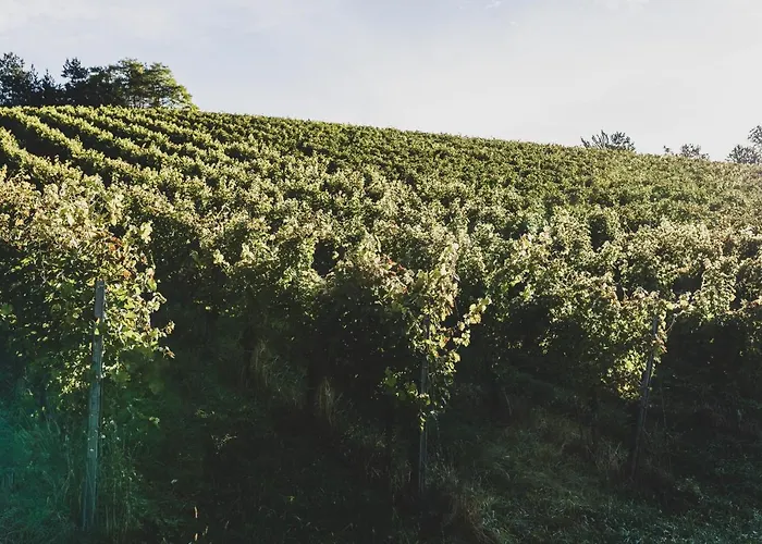 فندق مبيت وإفطار Weingut Peter Grill ليوتسشاخ